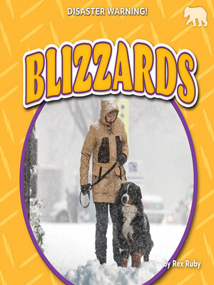 cover image of Blizzards